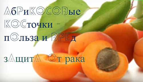 Миф о «витамине В17»: в Австралии запретили продажу абрикосовых косточек