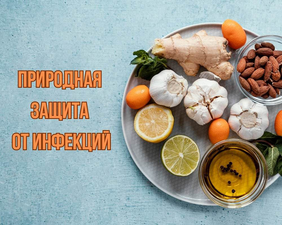 Иммунитет под угрозой: поиски ответа на вызов современных инфекций