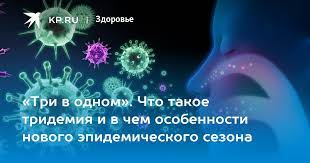 «Три в одном». Что такое тридемия и в чем особенности нового эпидемического сезона