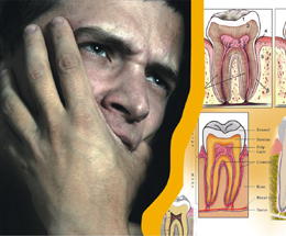 Зубная боль или хождение по мукам