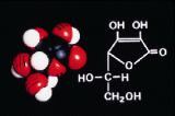Витамин С способен активизировать гены в стволовых клетках