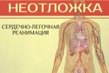 Массаж сердца и искусственное дыхание: как реанимировать человека