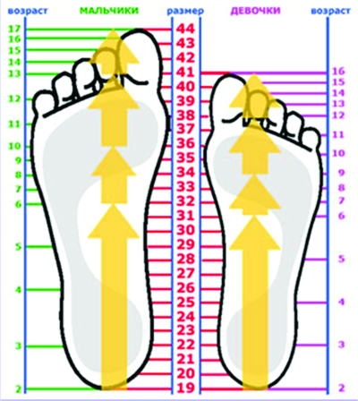 Как правильно выбрать обувь 