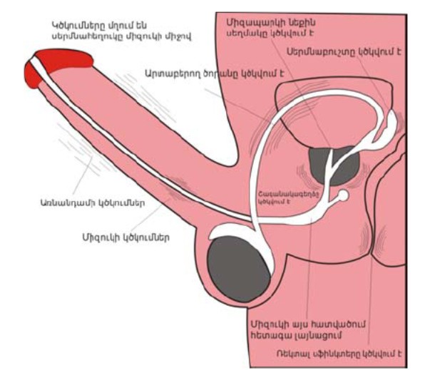 Տղամարդու հեշտանք