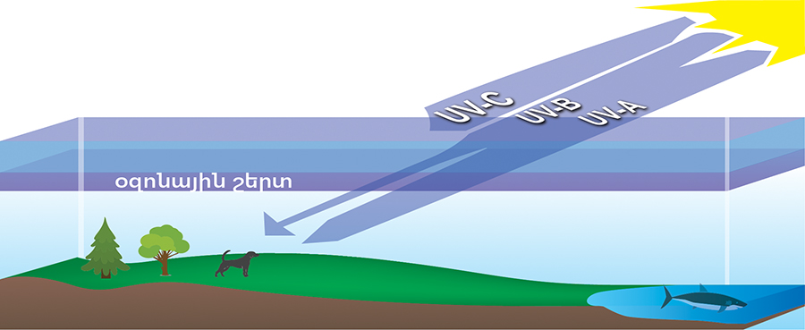 Բջիջների ինքնաոչնչացում