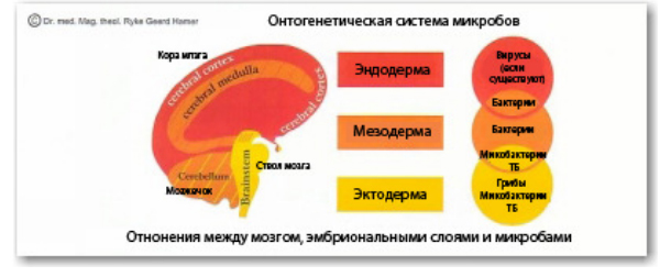 Доктор Хамер: То, что мы называем болезнями – это не бессмысленные мытарства