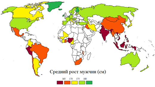 Средний рост мужчин в мире