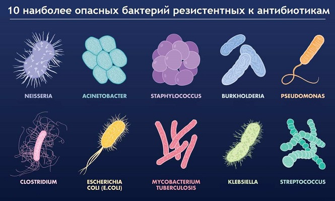 Антибиотики: что не лечат, чем опасны и как их принимать?