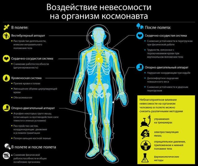  Воздействие невесомости на организм