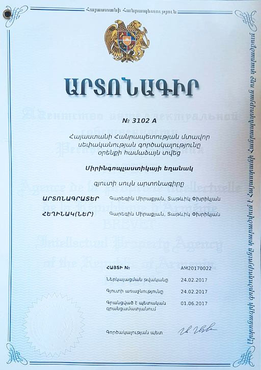 Ականջի թմբկաթաղանթի վերականգնման ՝ միրինգոպլաստիկայի նոր մեթոդ Արմենիա ՀԲԿ-ում