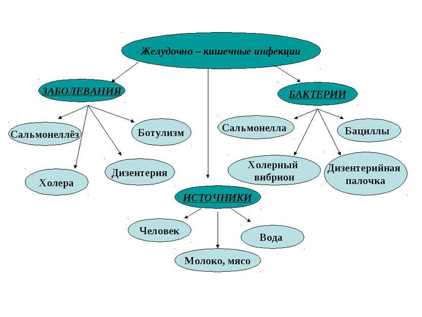  желудочно-кишечные инфекции 