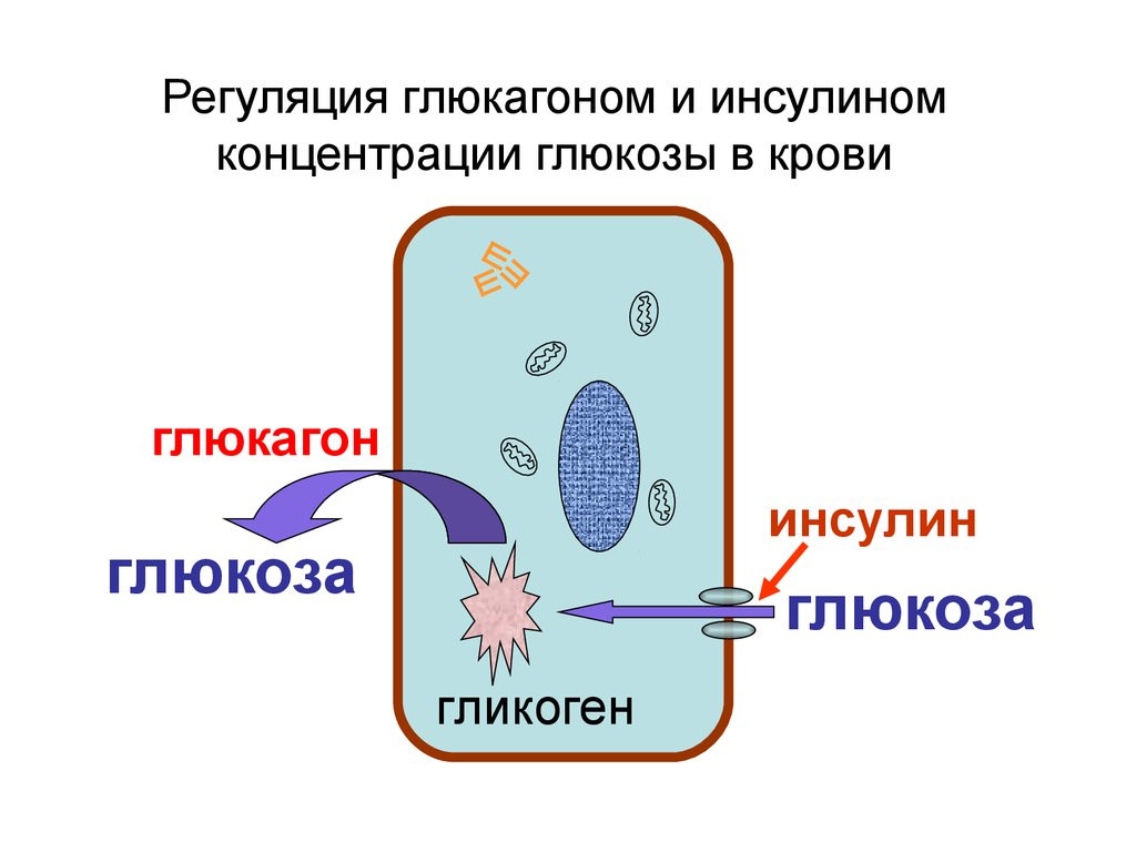 глюкоза 